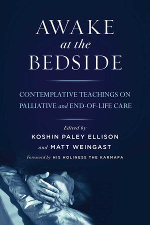 Awake At The Bedside: Contemplative Teachings On Palliative And Endoflife Care