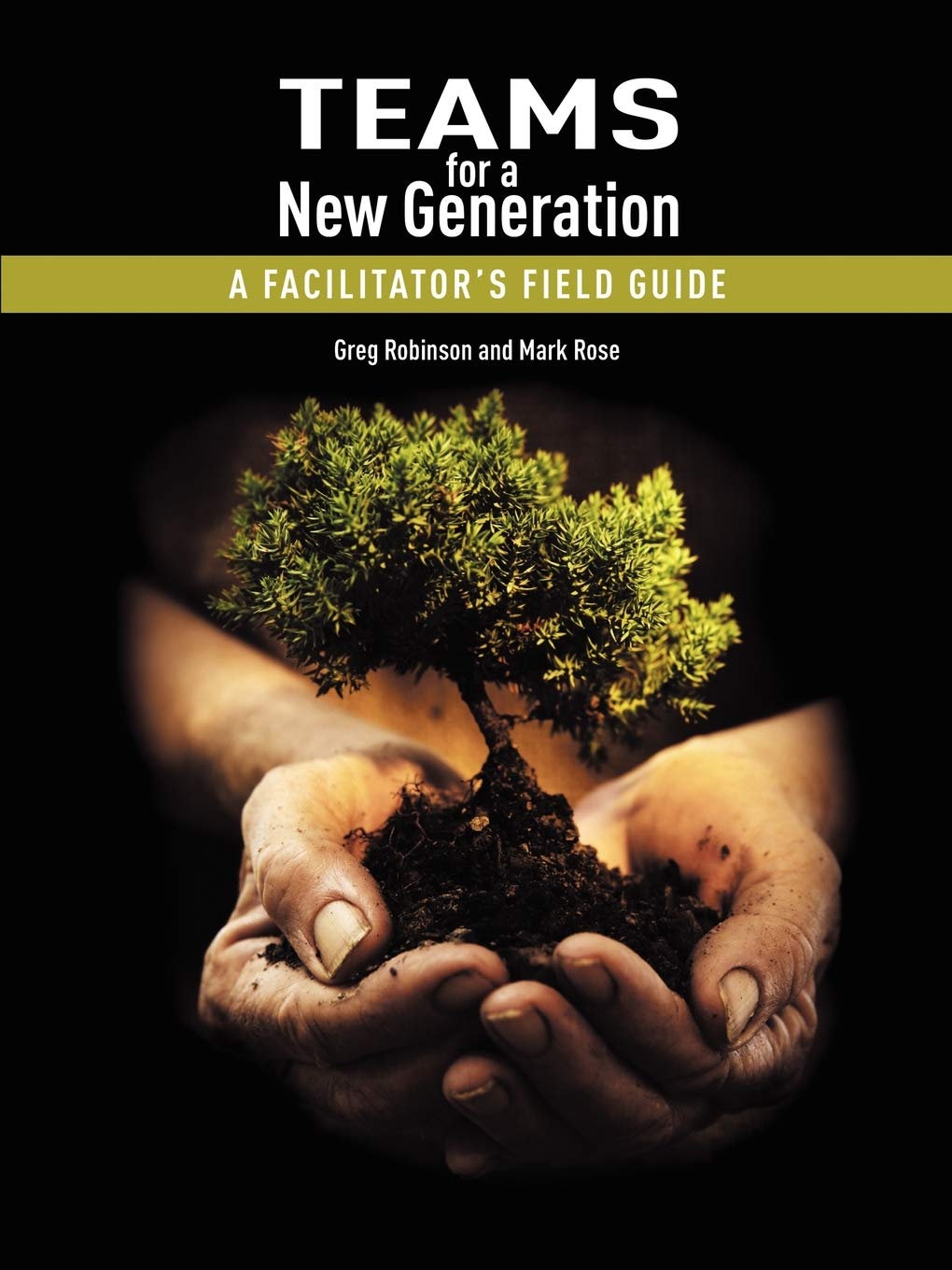Teams for a New Generation: A Facilitator's Field Guide,Used