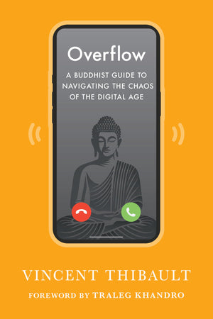 Overflow: A Buddhist Guide To Navigating The Chaos Of The Digital Age