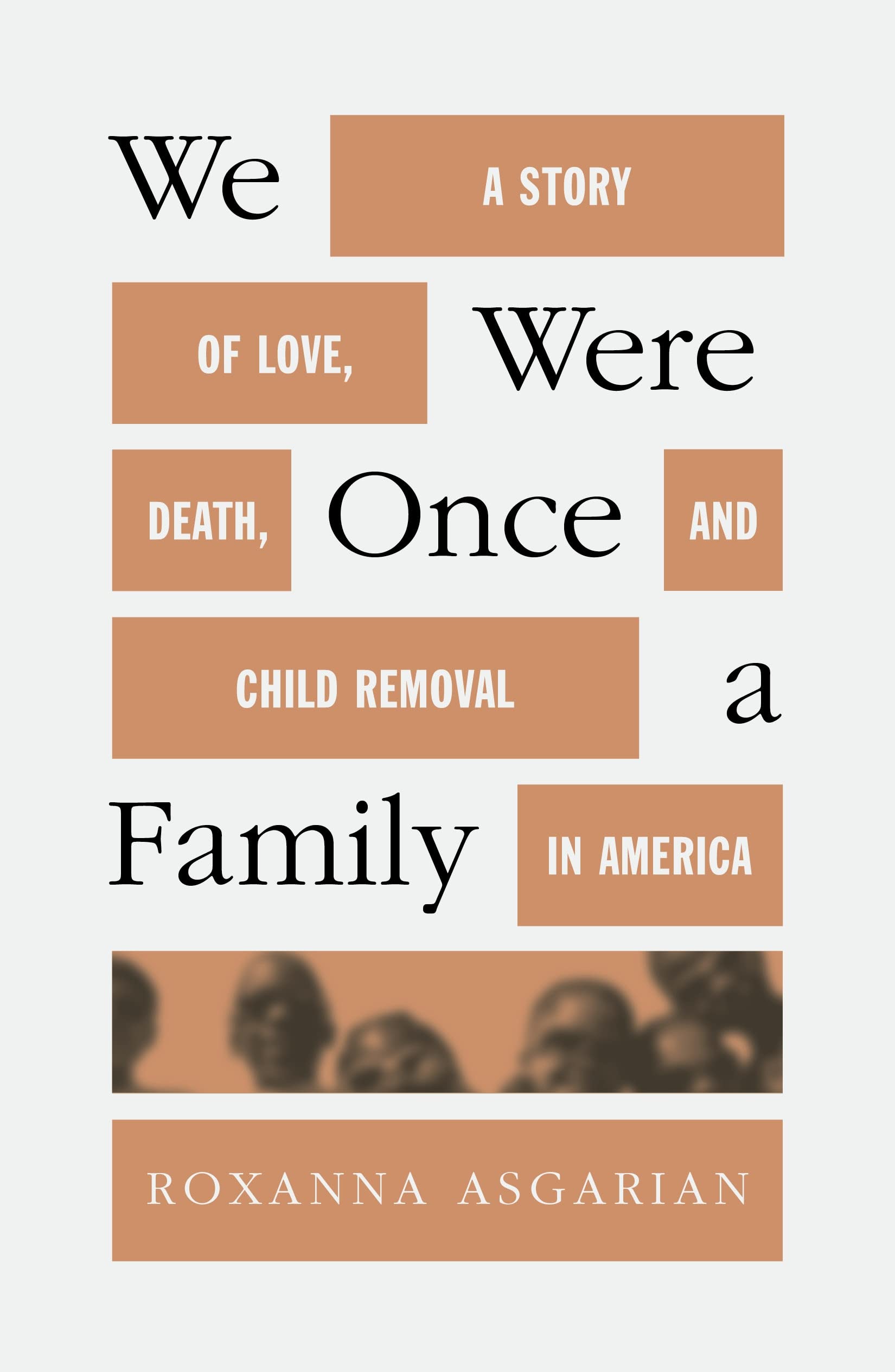 We Were Once A Family: A Story Of Love, Death, And Child Removal In America,Used