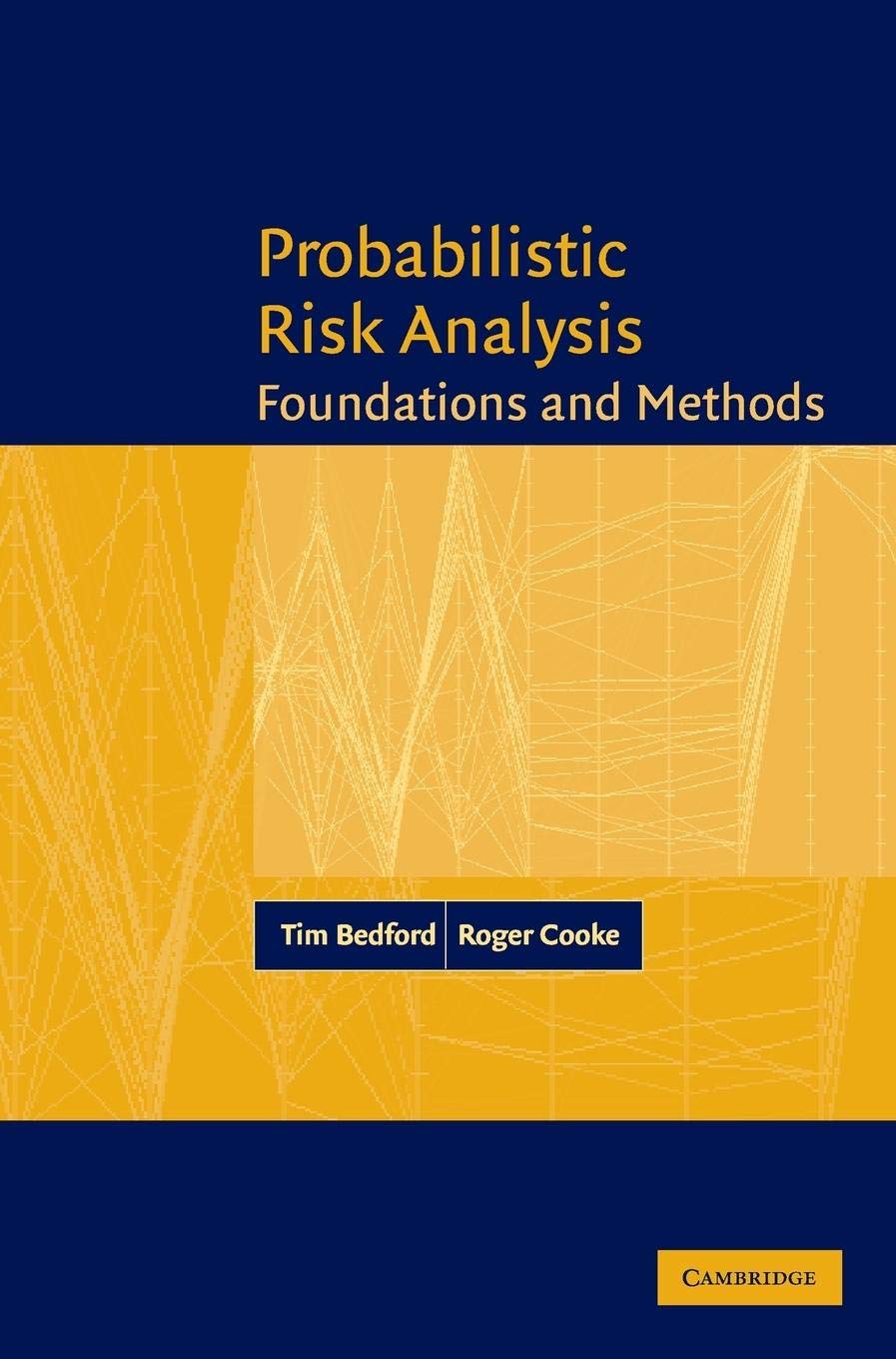 Probabilistic Risk Analysis: Foundations And Methods,Used