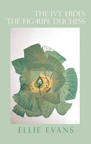 The Ivy Hides The Figripe Duchess,Used