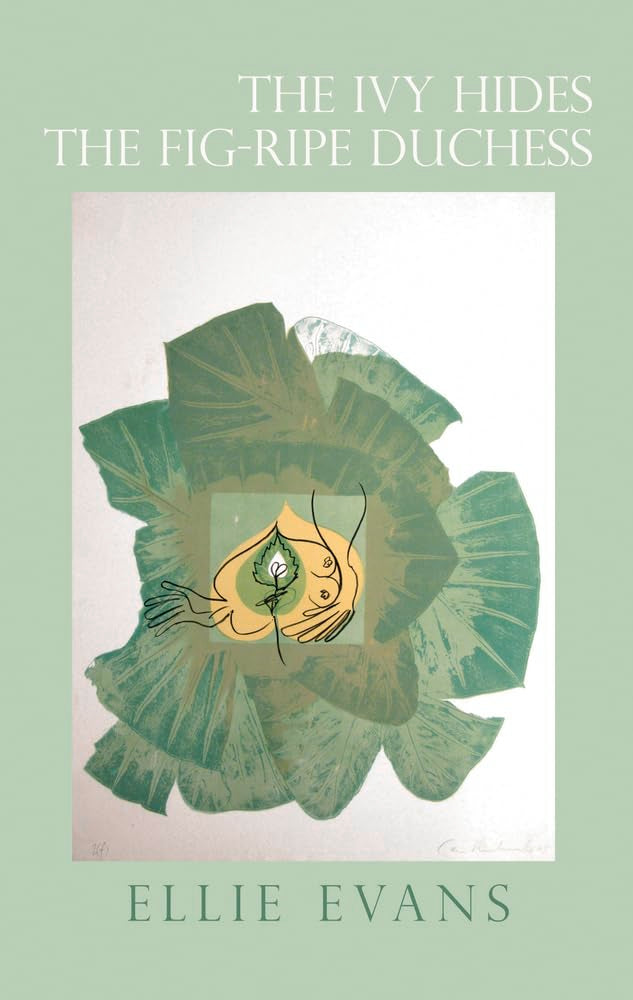 The Ivy Hides The Figripe Duchess,Used