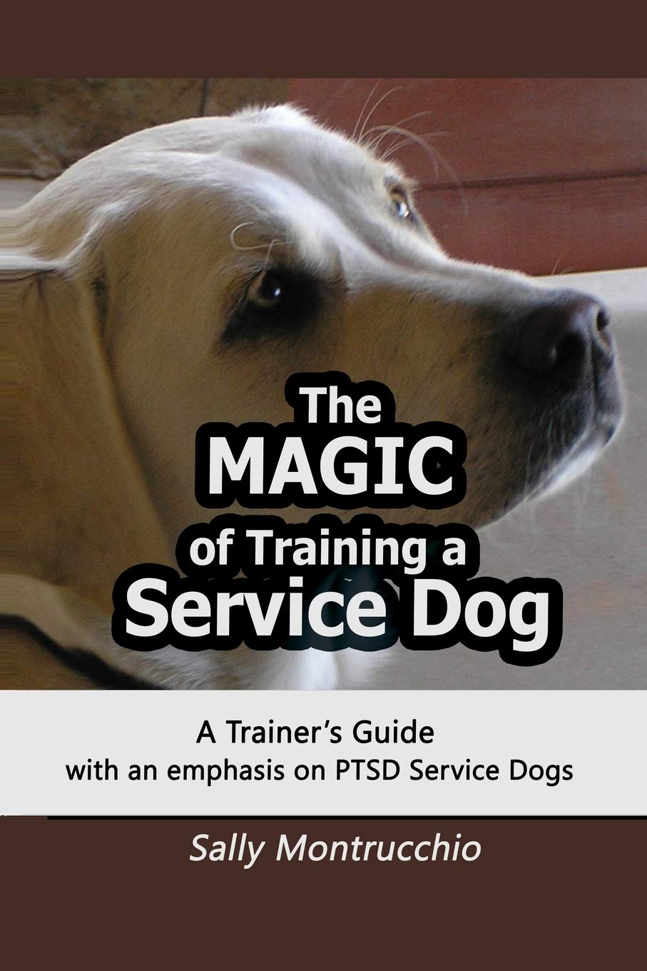 The Magic of Training a Service Dog,Used