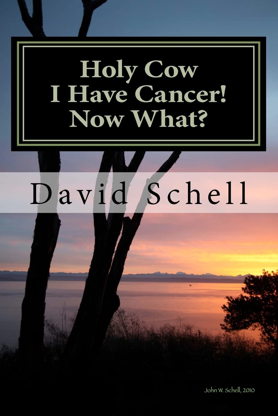 Holy Cow, I Have Cancer!: What Do I Do Now?,Used