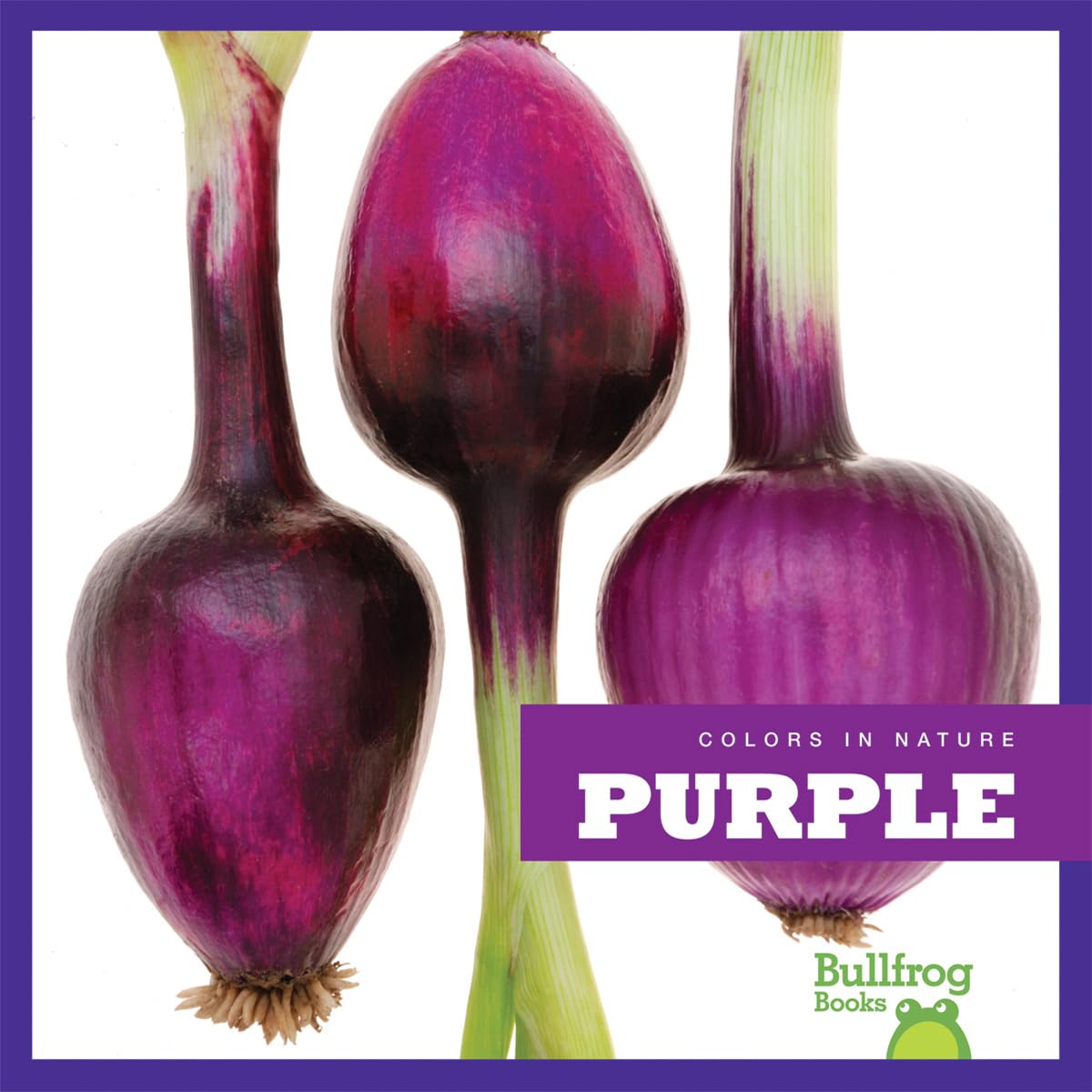 Purple (Bullfrog Books: Colors in Nature),Used