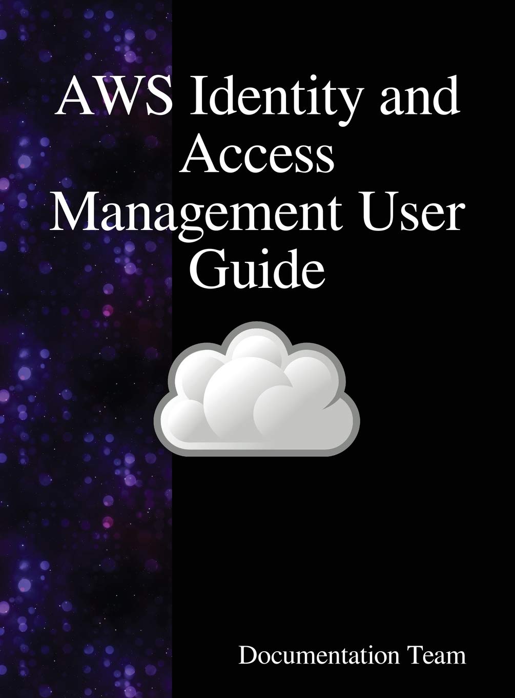 AWS Identity and Access Management User Guide: AWS IAM User Guide,Used