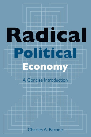 Radical Political Economy: A Concise Introduction,Used