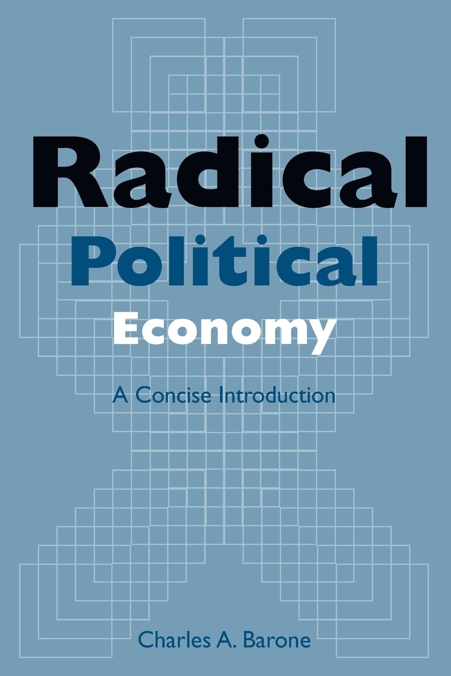 Radical Political Economy: A Concise Introduction,Used