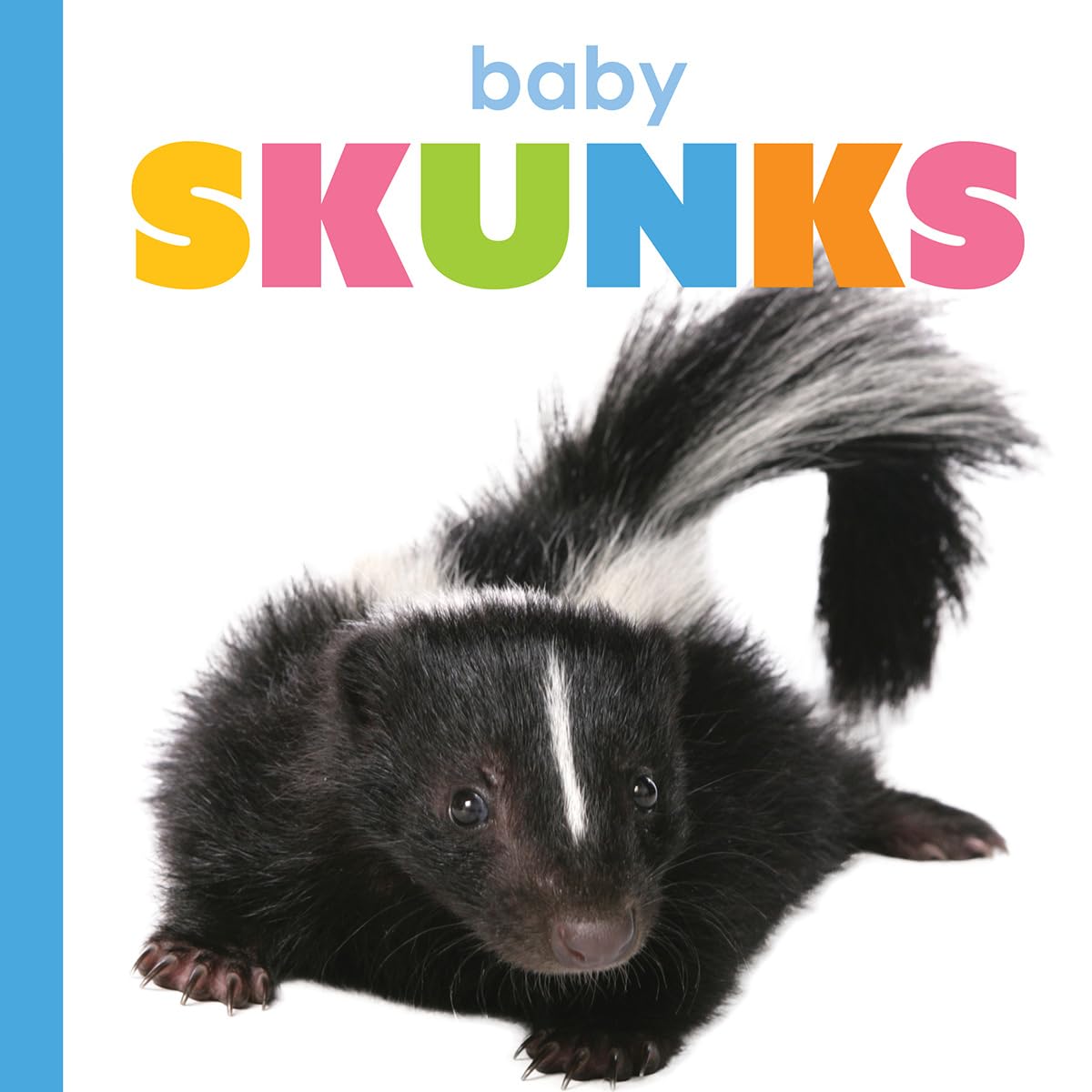 BABY SKUNKS