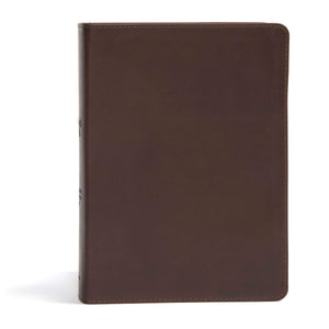 CSB She Reads Truth Bible, Brown Genuine Leather, Black Letter, FullColor Design, Wide Margins, Notetaking Space, Devotionals,