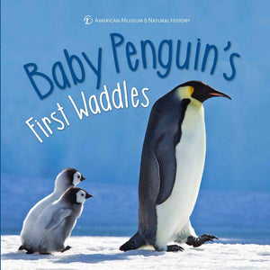 Baby Penguins First Waddles (First Discoveries)