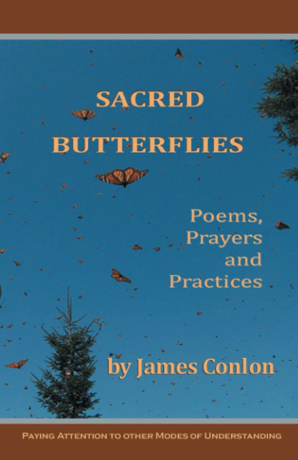 Sacred Butterflies: Poems, Prayers and Practices,Used