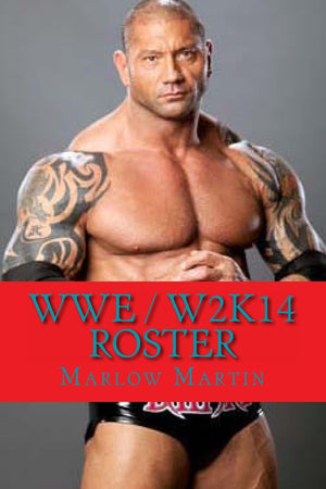 WWE / W2K14 Roster,Used