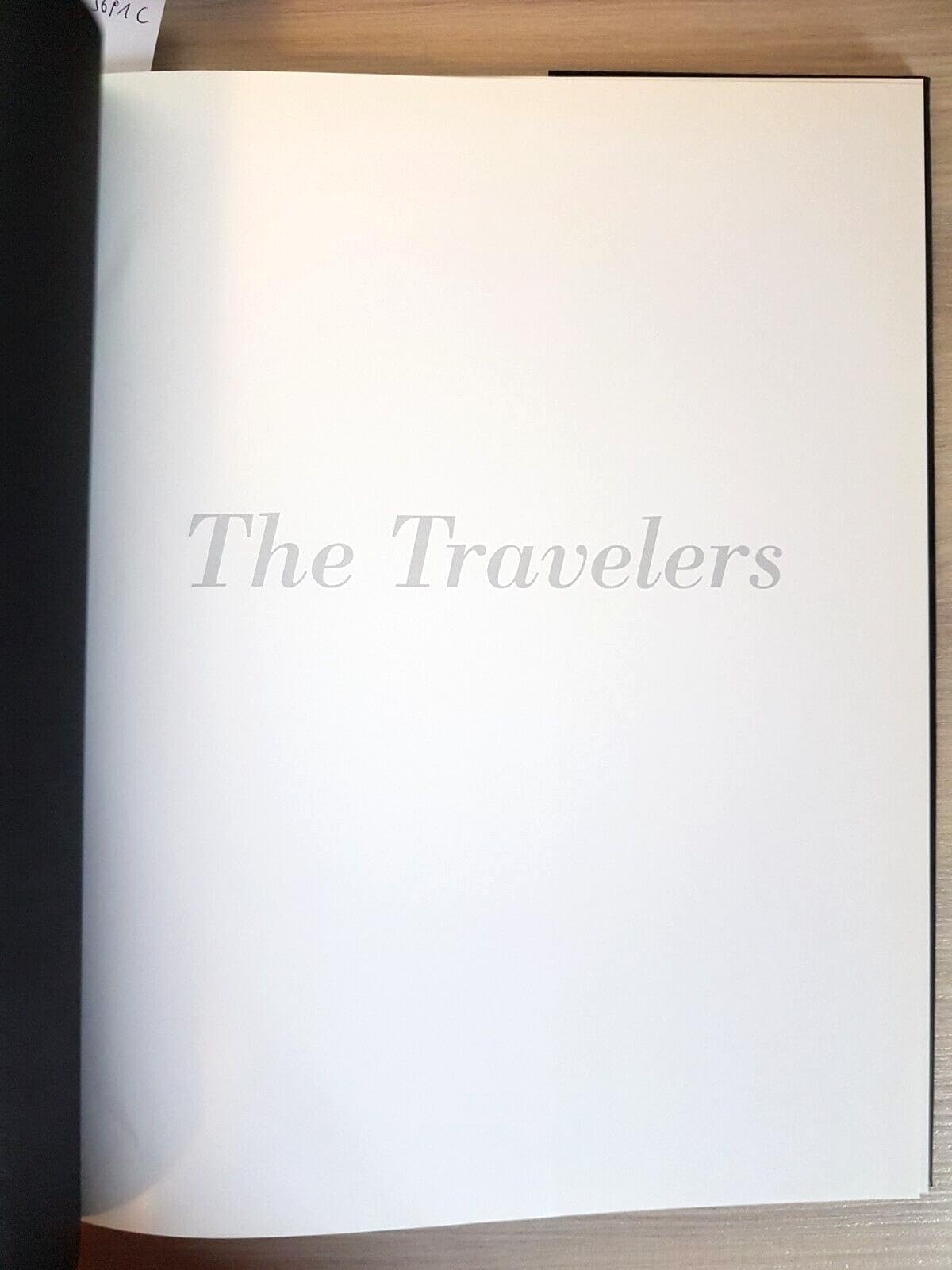 Elizabeth Heyert: The Travelers,Used