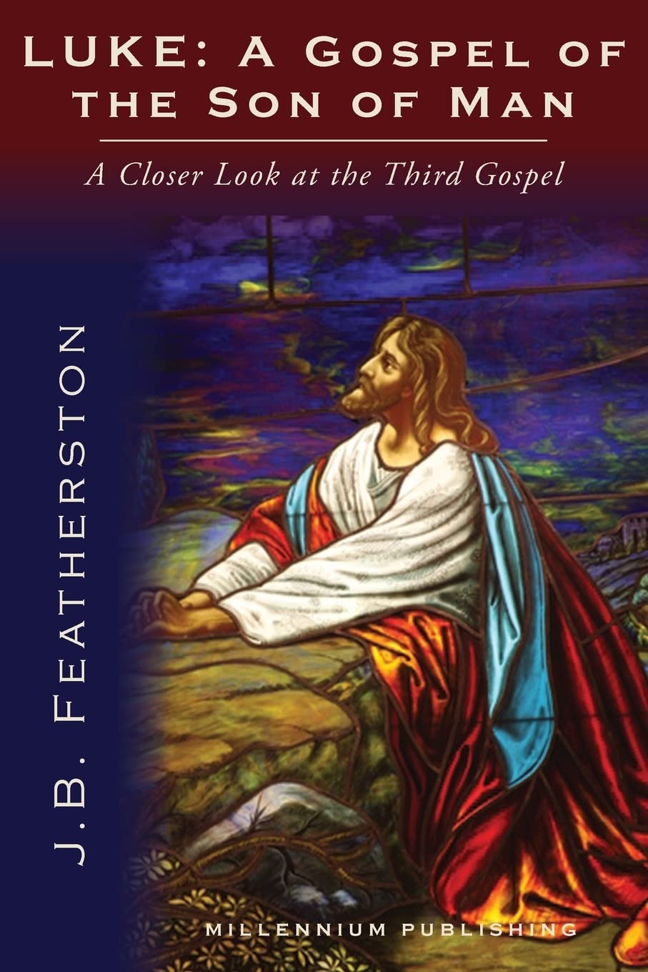 Luke: A Gospel of the Son of Man: A Closer Look at the Third Gospel,Used