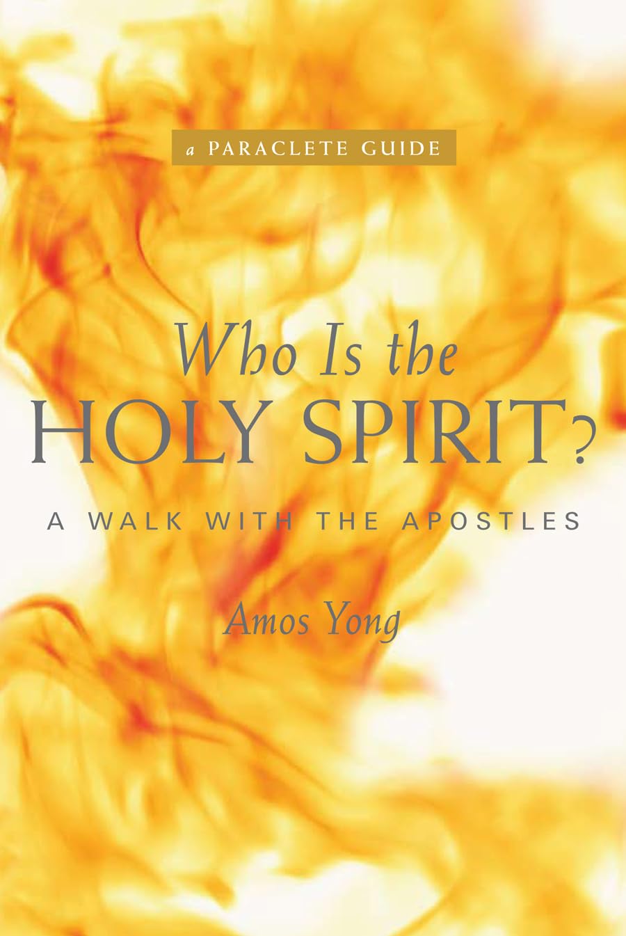 Who Is the Holy Spirit?: A Walk with the Apostles (A Paraclete Guide),Used
