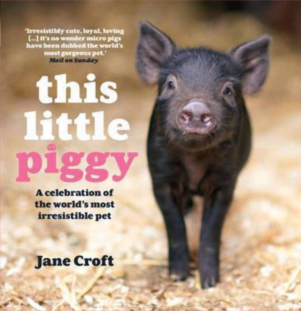This Little Piggy: A celebration of the world's most irresistable pet,Used