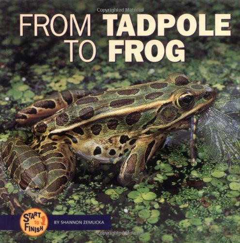 From Tadpole to Frog (Start to Finish),Used