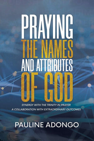 Praying the Names and Attributes of God: Synergy with the Trinity in Prayer A Collaboration with Extraordinary Outcomes,Used