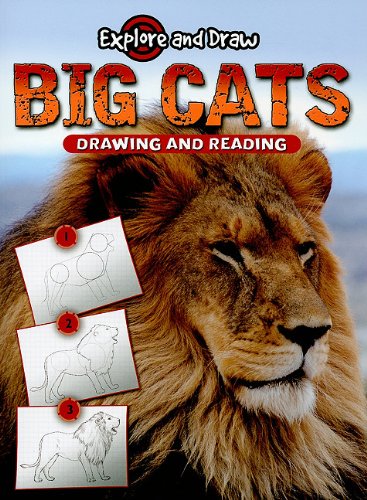 Big Cats, Drawing and Reading (Explore & Draw),Used