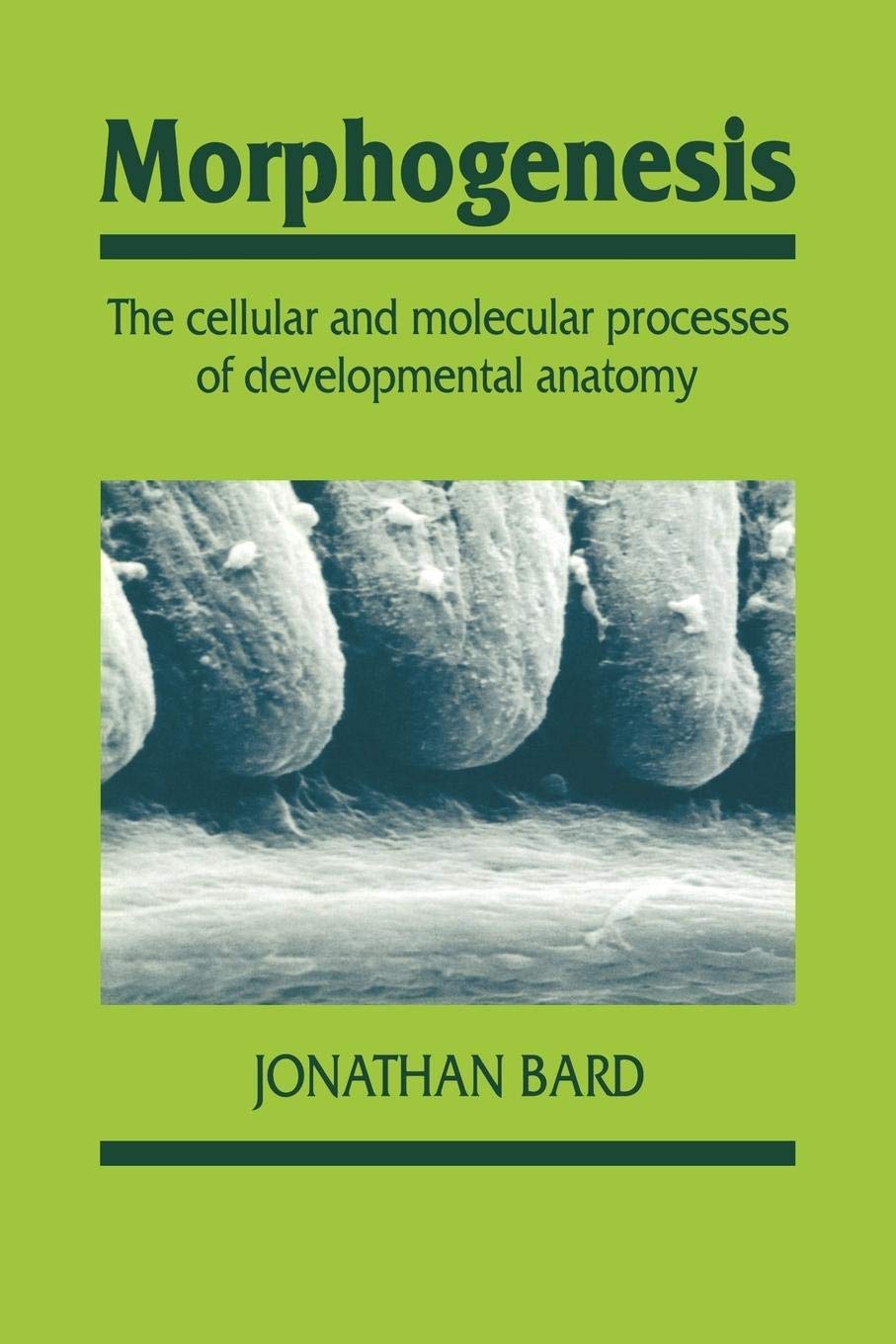Morphogenesis: The Cellular And Molecular Processes Of Developmental Anatomy (Developmental And Cell Biology Series, Series Numb,New