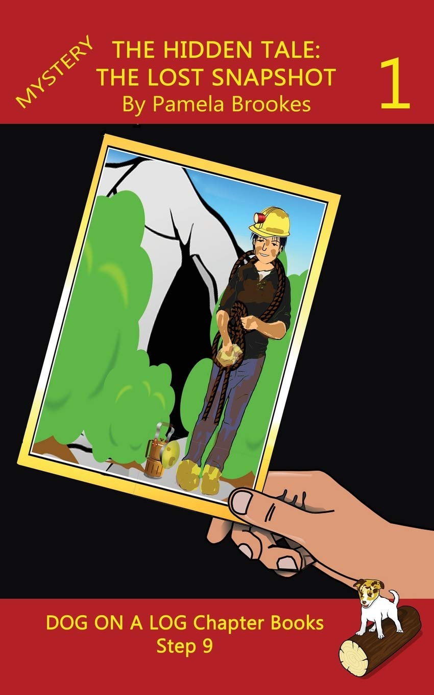 The Hidden Tale 1: The Lost Snapshot Chapter Book: (Step 9) Sound Out Books (systematic decodable) Help Developing Readers, Incl,Used