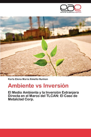 Ambiente vs Inversin (Spanish Edition),Used