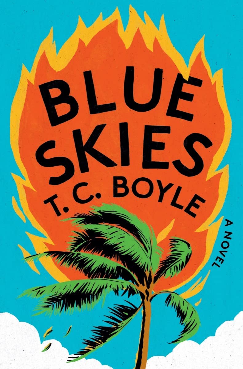Blue Skies: A Novel,Used
