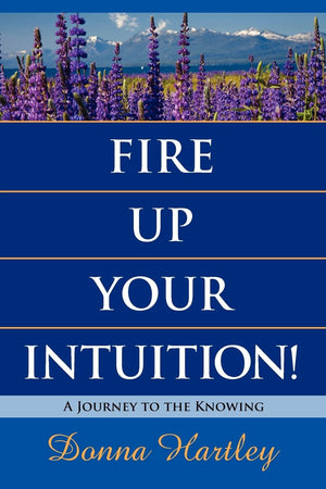 Fire Up Your Intuition: A Journey To The Knowing,Used