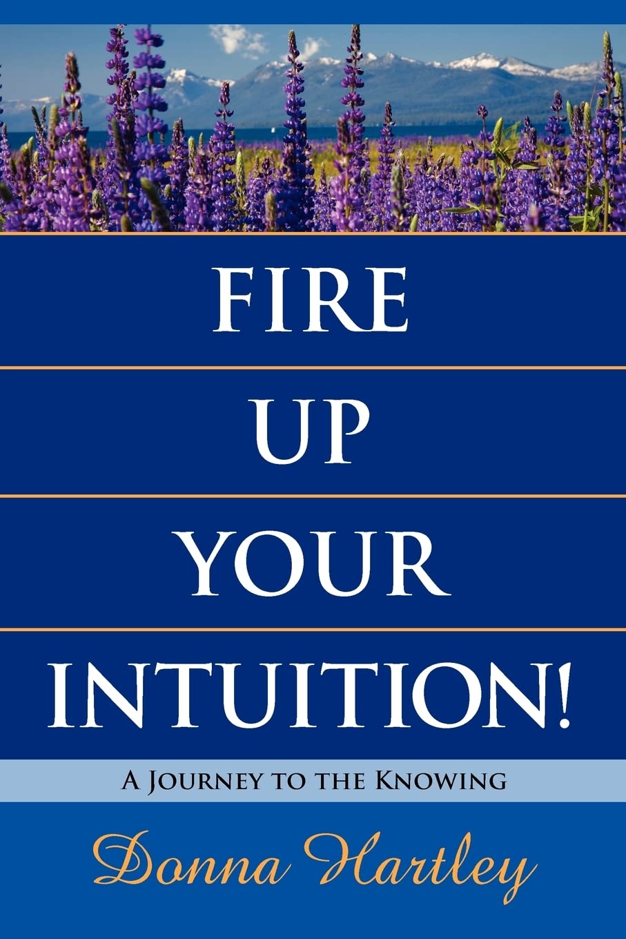 Fire Up Your Intuition: A Journey To The Knowing,Used