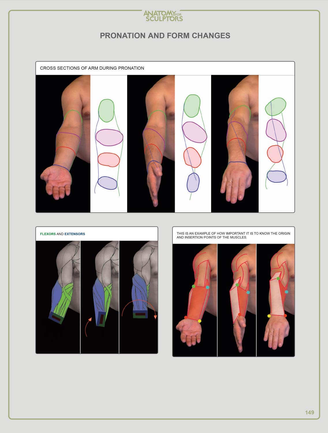 Anatomy For Sculptors, Understanding The Human Figure