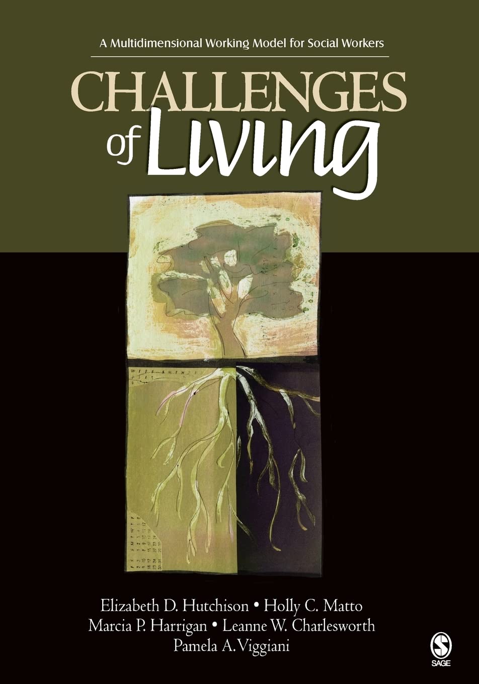 Challenges of Living: A Multidimensional Working Model for Social Workers,Used