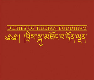 Deities of Tibetan Buddhism: The Zurich Paintings of the Icons Worthwhile to See,Used
