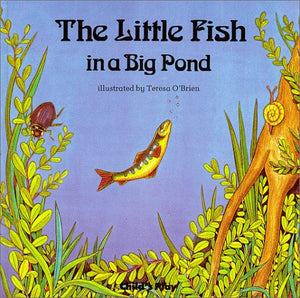 Little Fish In A Big Pond