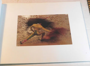 Passes: The Art of the Bullfight; Seduction, Deceptions, Illusion, and Truth,Used