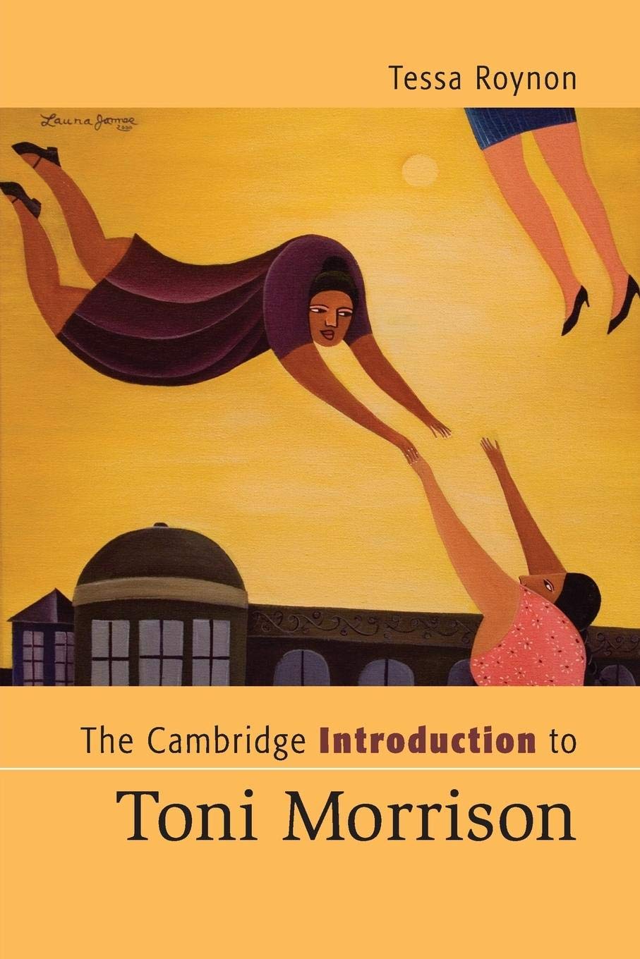 The Cambridge Introduction to Toni Morrison (Cambridge Introductions to Literature),Used
