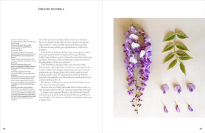 The Accidental Botanist: A Deconstructed Flower Book,Used