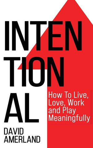 Intentional: How To Live, Love, Work And Play Meaningfully,Used