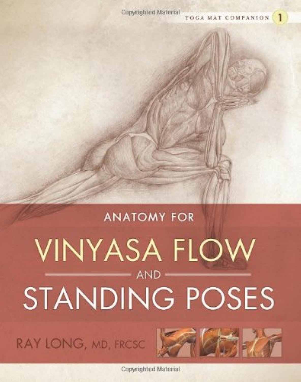 Yoga Mat Companion 1: Anatomy for Vinyasa Flow and Standing Poses,New