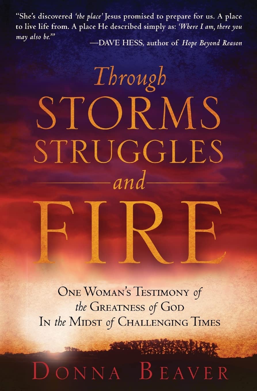 Through Storms Struggles And Fire: One Women'S Testimony Of The Greatness Of God In The Midst Of Challenging Times,Used