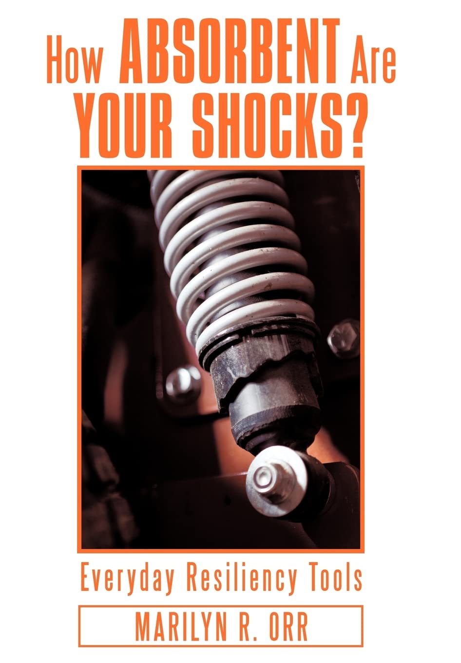 How Absorbent Are Your Shocks?: Everyday Resiliency Tools,Used