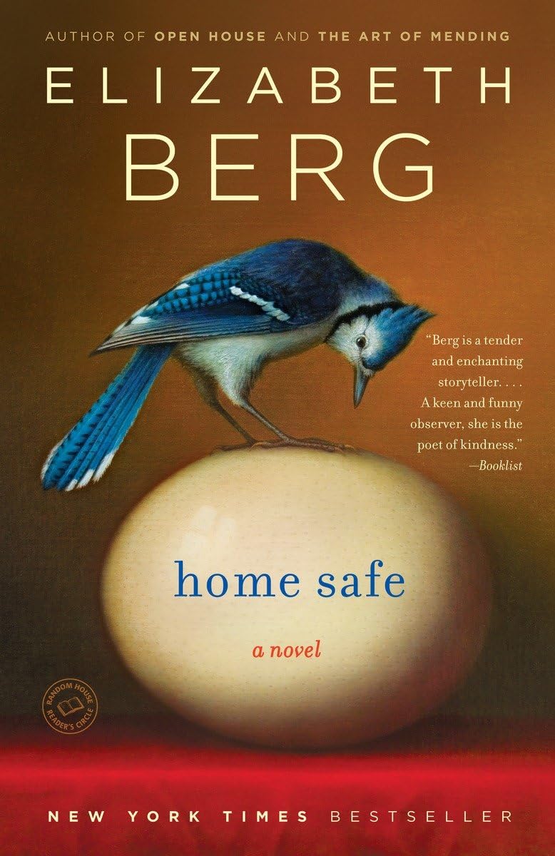 Home Safe: A Novel,Used