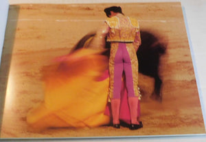 Passes: The Art of the Bullfight; Seduction, Deceptions, Illusion, and Truth,Used
