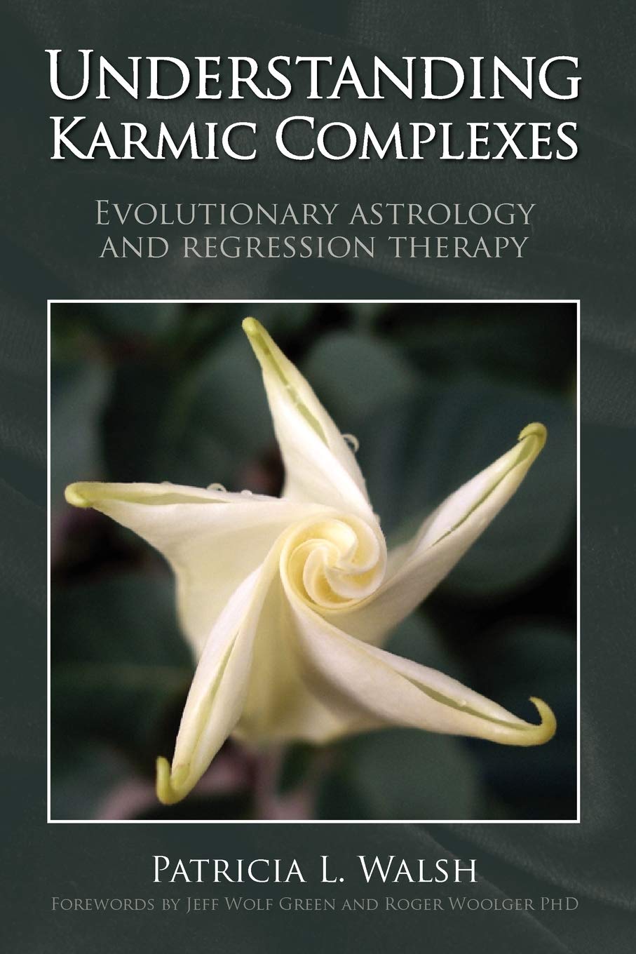 Understanding Karmic Complexes: Evolutionary Astrology And Regression Therapy,Used