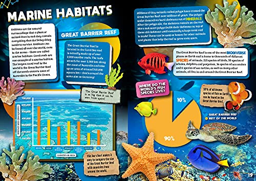 Oceans (Smart Charts),Used