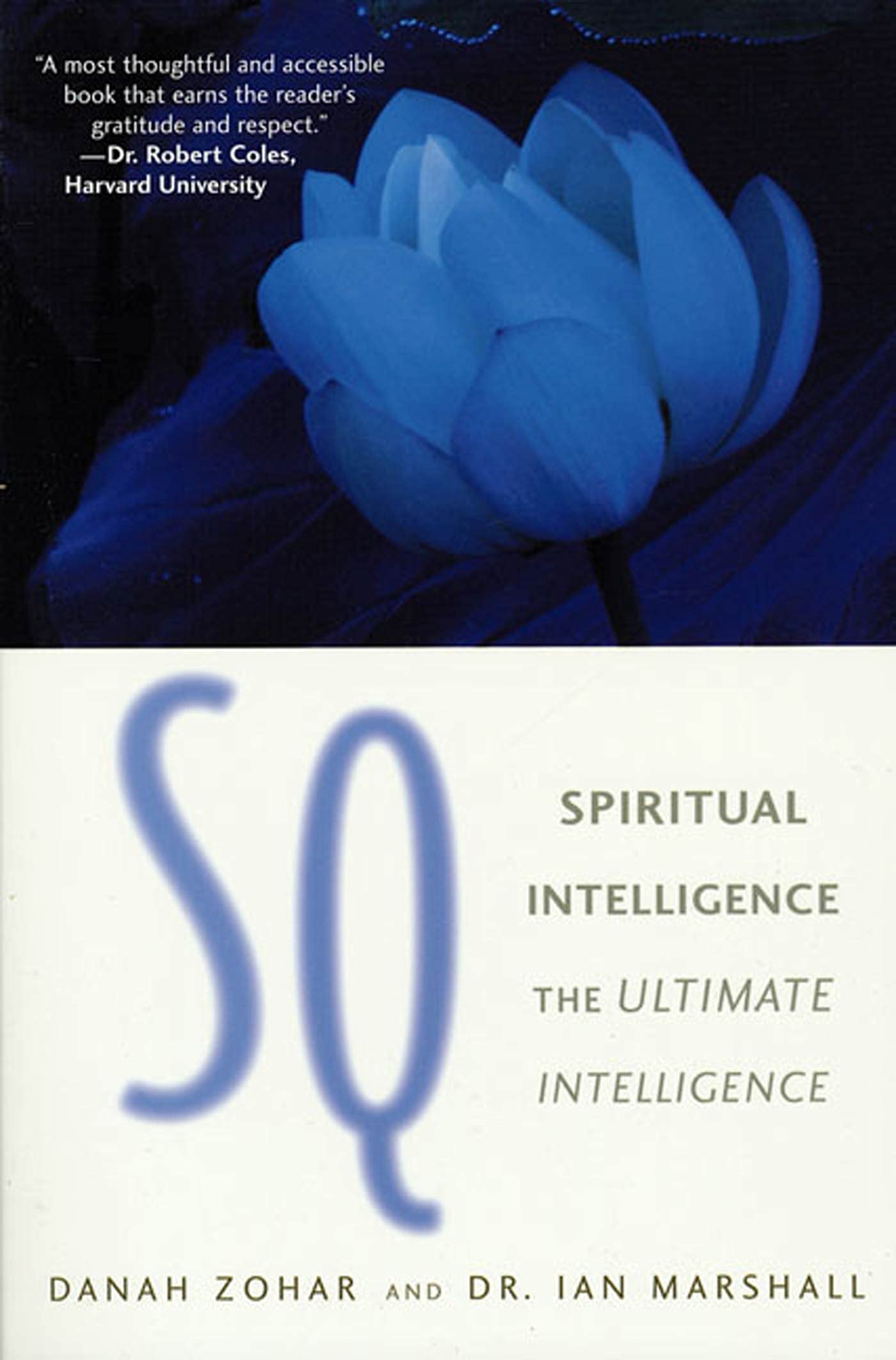 SQ: Connecting With Our Spiritual Intelligence,Used