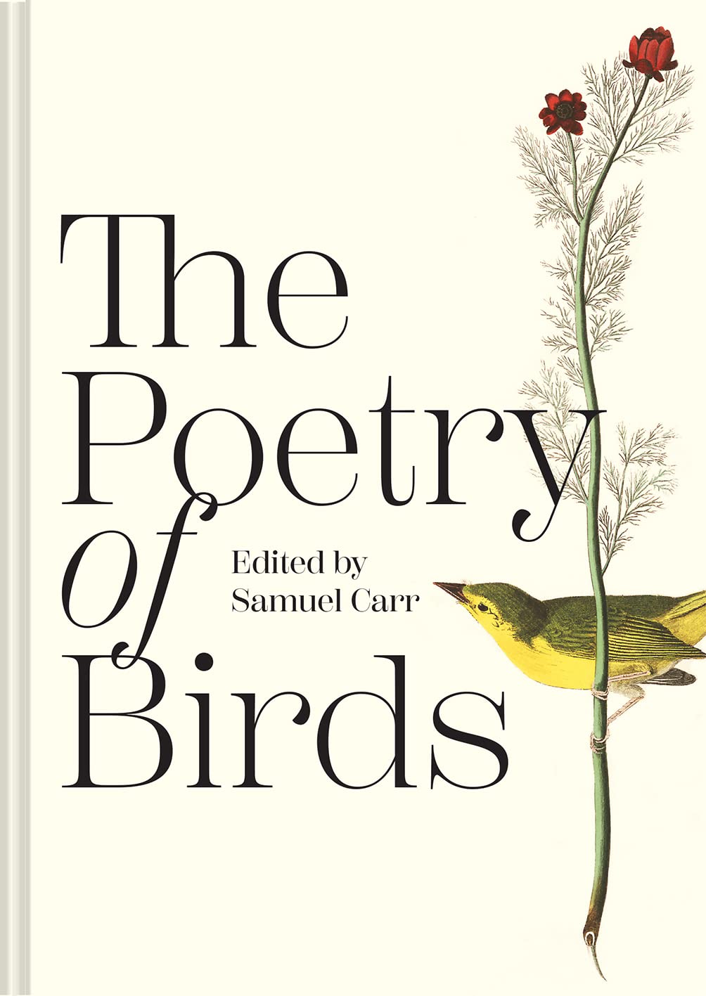 The Poetry Of Birds,Used