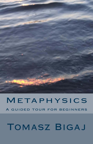 Metaphysics: A guided tour for beginners,Used