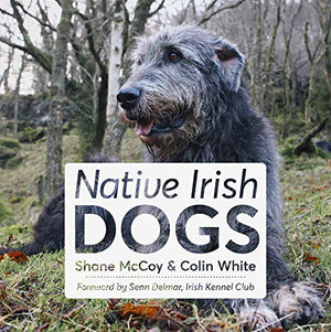 Native Irish Dogs,Used